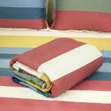  Bộ Ga Bọc Cotton Satin Deluxe 39 