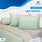  Bộ Ga Bọc Lụa Modal 85 