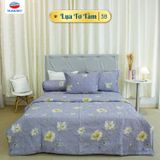  Bộ Ga Bọc Lụa Tơ Tằm 38 