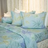  Bộ Ga Bọc Lụa Modal 99 