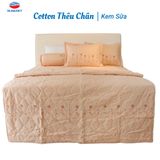  Chăn Chần Bông - 100% Cotton Sateen Guni Màu - thoáng mát - Trơn, Đơn giản - THANH THUY 