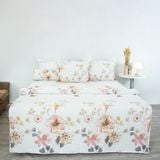  Chăn Lẻ Cotton Vanila 271 