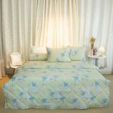  Bộ Ga Bọc Lụa Modal 95 