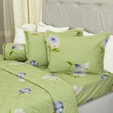  Vỏ Gối Nằm - 100% Cotton Satin - mềm mại, thoáng mát - THANH THUY 