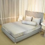  [DEAL SỐC COMBO] Bộ Chăn Ga Gối Chun / Phủ Bèo - Lụa Tơ Tằm (100% Tencel 60s) mềm mại - THANH THUY 