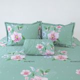  Chăn Lẻ Cotton Vanila 253 