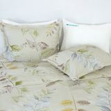  Bộ Ga Bọc Vanila 264 - Chăn Ra Thanh Thủy 