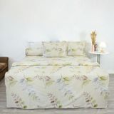  Bộ Ga Bọc Vanila 264 - Chăn Ra Thanh Thủy 
