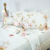  Chăn Lẻ Cotton Vanila 271 