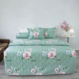  Chăn Lẻ Cotton Vanila 253 