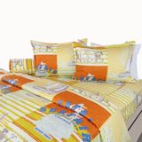  Bộ Ga Bọc Satin 464 - Chăn Ra Thanh Thủy 