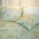  Bộ Ga Bọc Lụa Modal 105 - Chăn Ra Thanh Thủy 