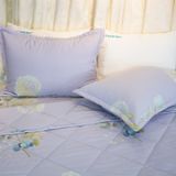  Bộ Ga Bọc Lụa Modal 109 