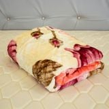 Chăn Mền Nhung 2 Lớp Lông Tuyết Dày Cao Cấp (2kg) - Nhắn tin gửi mẫu khi đặt hàng 