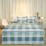  Bộ Ga Bọc Cotton Vanila (Vỏ Gối Không Lót Gòn) 255 