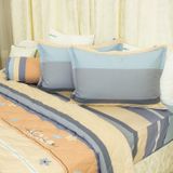  Bộ Ga Bọc Cotton Vanila (Vỏ Gối Lót Gòn) 481 