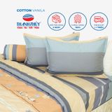 Bộ Ga Bọc Cotton Vanila (Vỏ Gối Lót Gòn) 481 