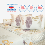  Bộ Ga Bọc Cotton Vanila (Vỏ Gối Lót Gòn) 270 