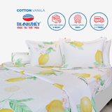  Bộ Ga Bọc Cotton Vanila (Vỏ Gối Không Lót Gòn) 309 