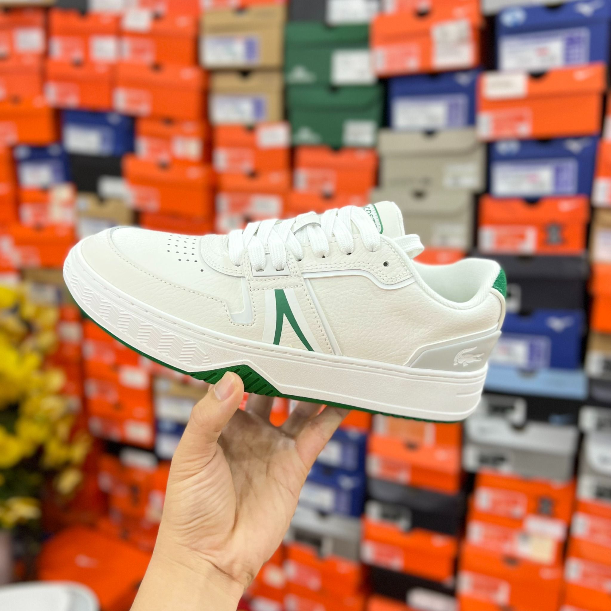 shoes lacoste women's