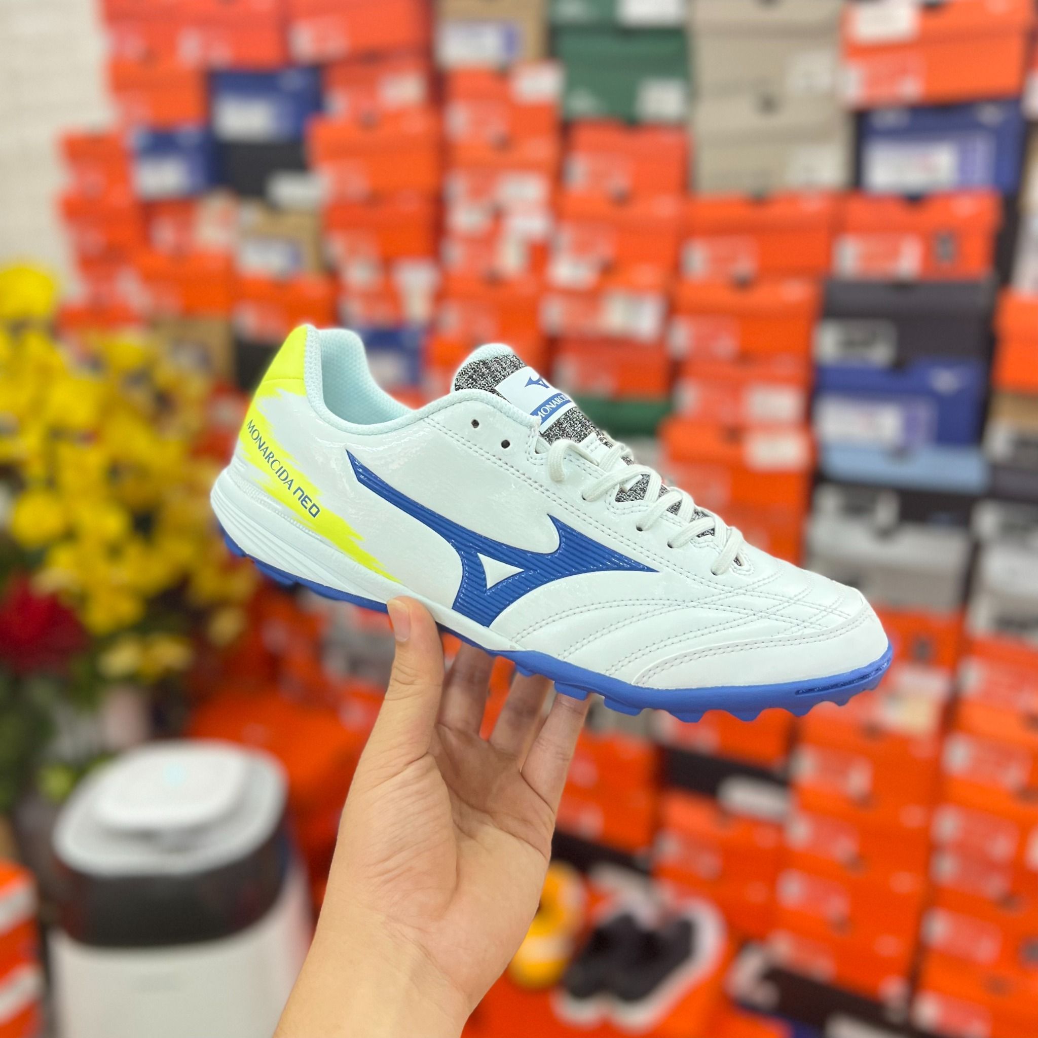 mizuno monarcida sala pro