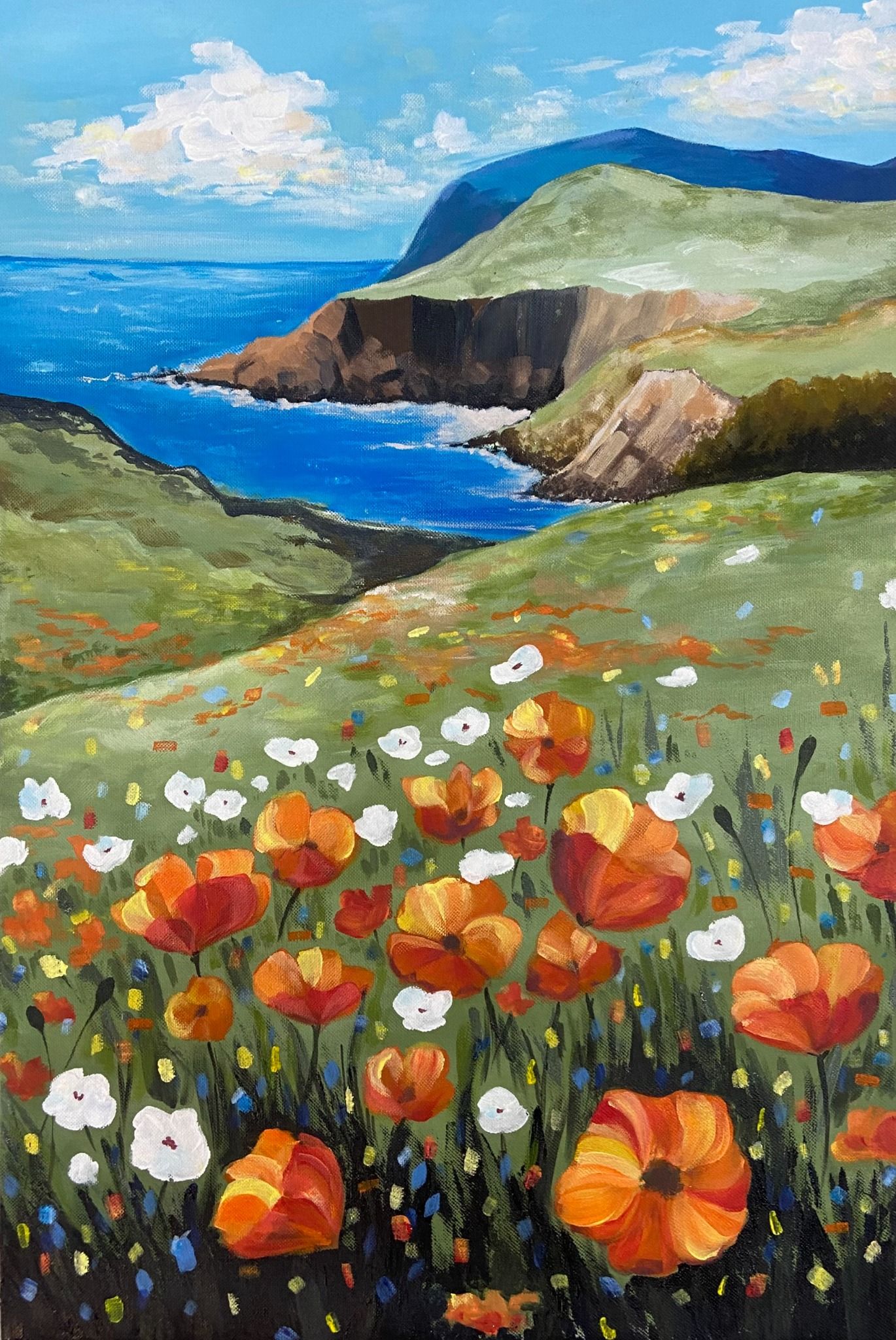  COASTAL POPPIES 