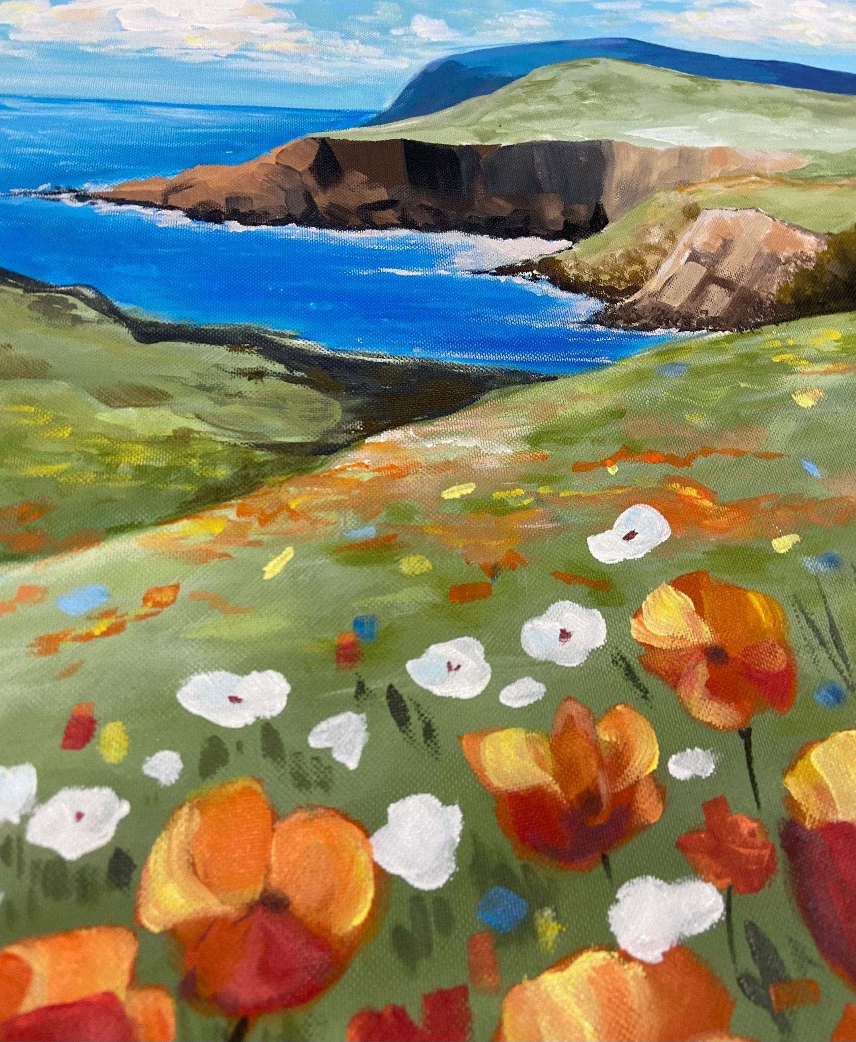  COASTAL POPPIES 