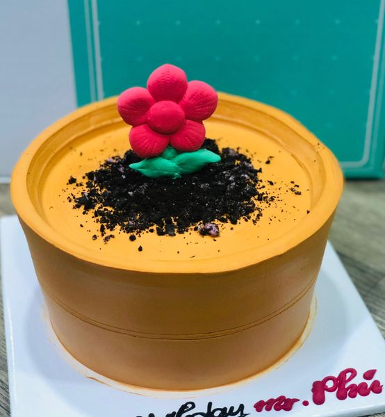  Bánh kem bắp chậu hoa xinh 