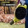 Thổi lá ryobi RY404014VNM 40
