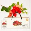NƯỚC ÉP NGŨ VỊ TỬ BẮC