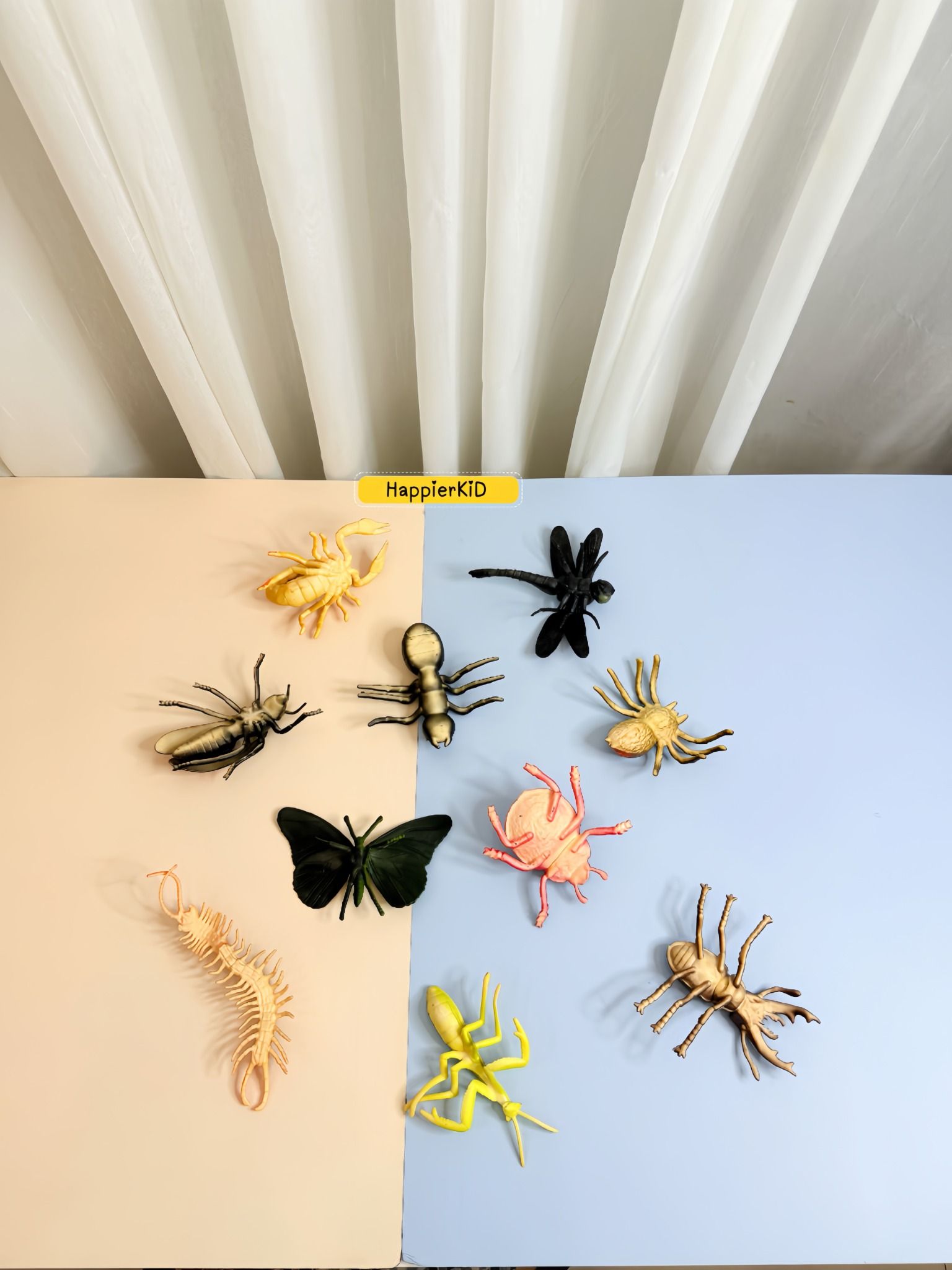  Mô hình 10 côn trùng thế giới côn trùng HT7505 