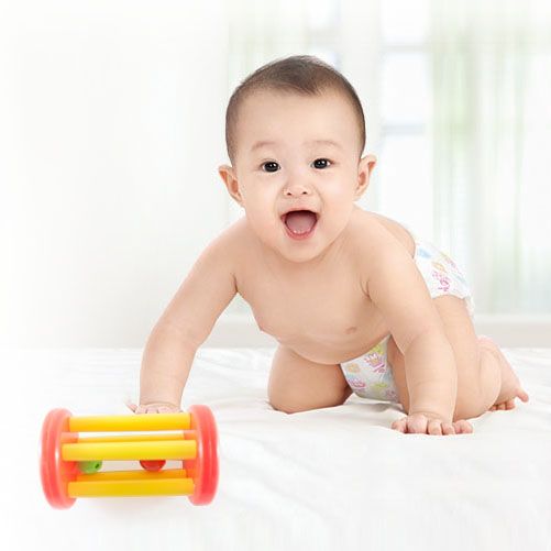  Xúc xắc trẻ em lồng hợp Antona 