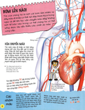  Sách Tìm hiểu về cơ thể người (Dành Cho Trẻ Từ 6 Tuổi) 