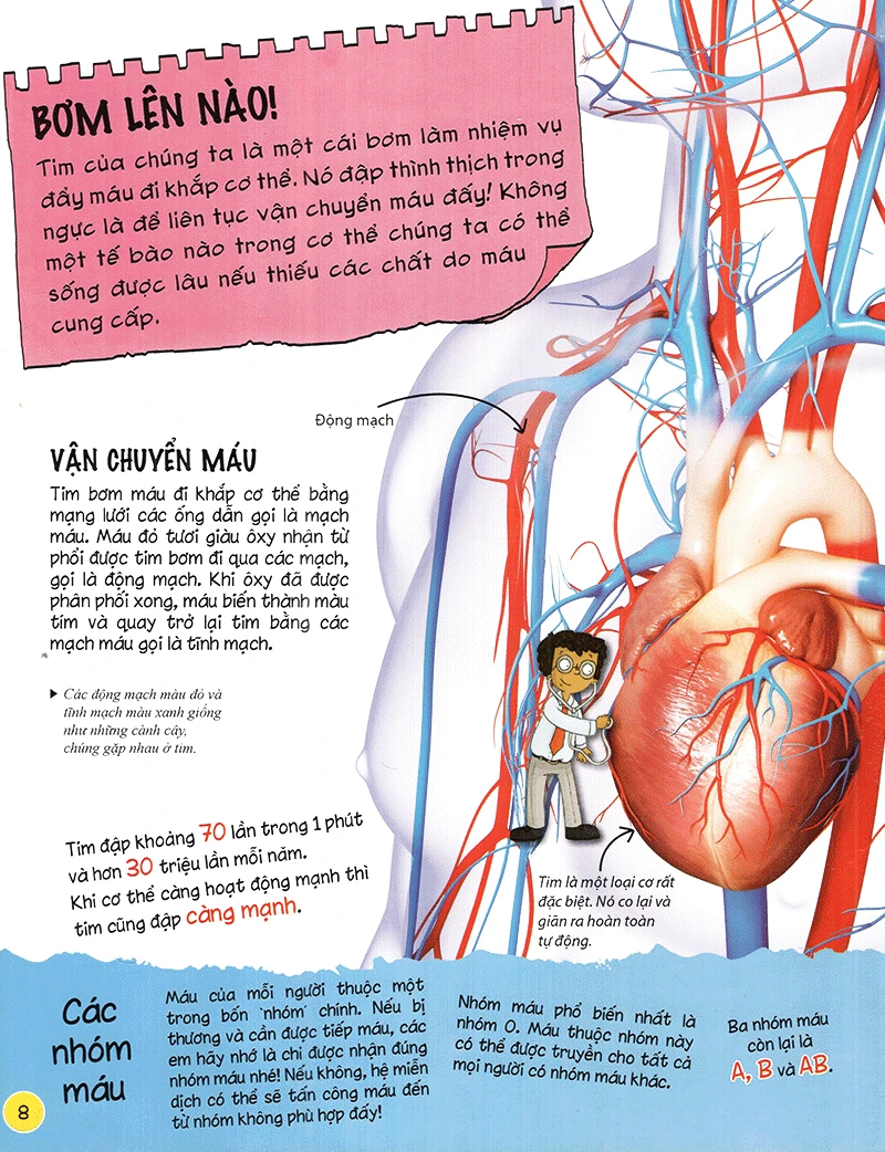  Sách Tìm hiểu về cơ thể người (Dành Cho Trẻ Từ 6 Tuổi) 