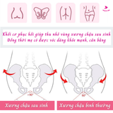  Dụng cụ tập cơ sàn chậu SYNTEAM cho phụ nữ sau sinh 