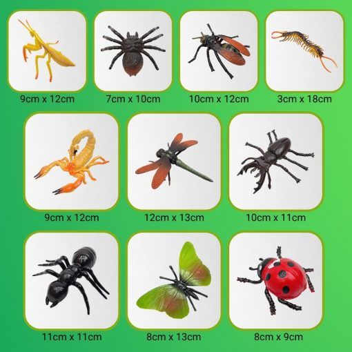  Mô hình 10 côn trùng thế giới côn trùng HT7505 