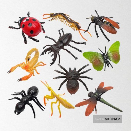  Mô hình 10 côn trùng thế giới côn trùng HT7505 