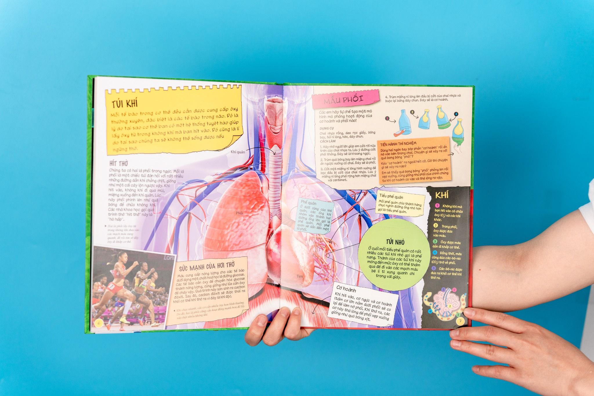  Sách Tìm hiểu về cơ thể người (Dành Cho Trẻ Từ 6 Tuổi) 