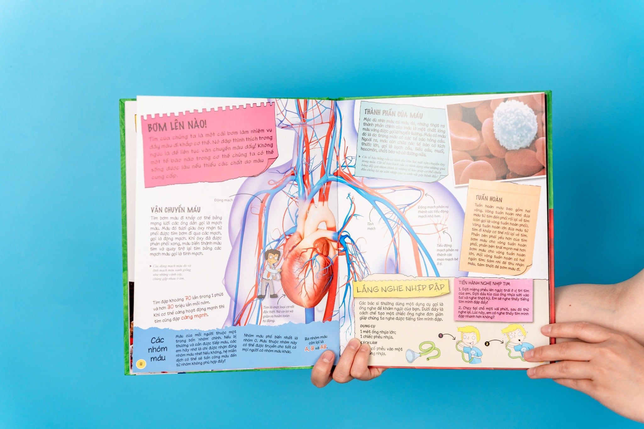  Sách Tìm hiểu về cơ thể người (Dành Cho Trẻ Từ 6 Tuổi) 