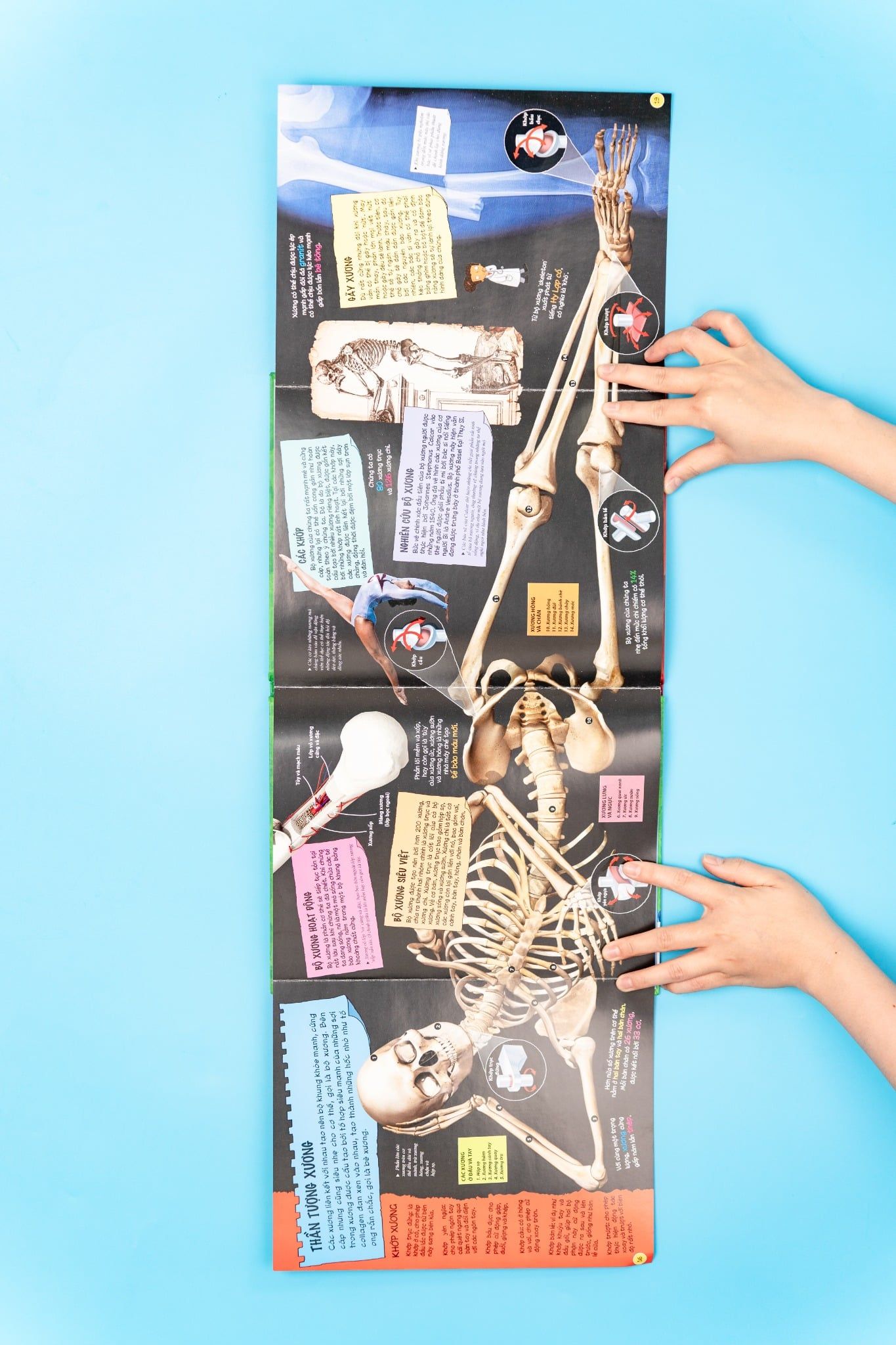  Sách Tìm hiểu về cơ thể người (Dành Cho Trẻ Từ 6 Tuổi) 