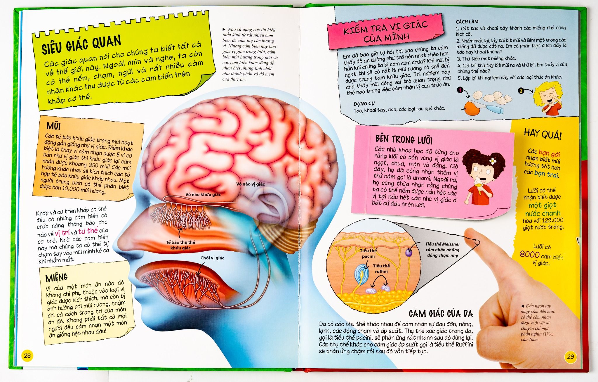  Sách Tìm hiểu về cơ thể người (Dành Cho Trẻ Từ 6 Tuổi) 