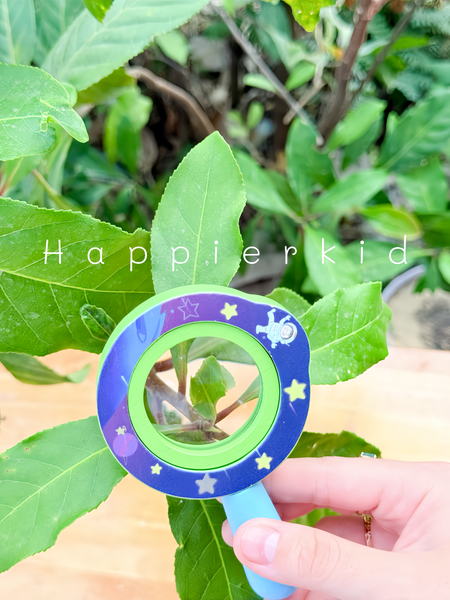  Đồ chơi kính lúp bằng gỗ Học tập Phiêu lưu ngoài trời 