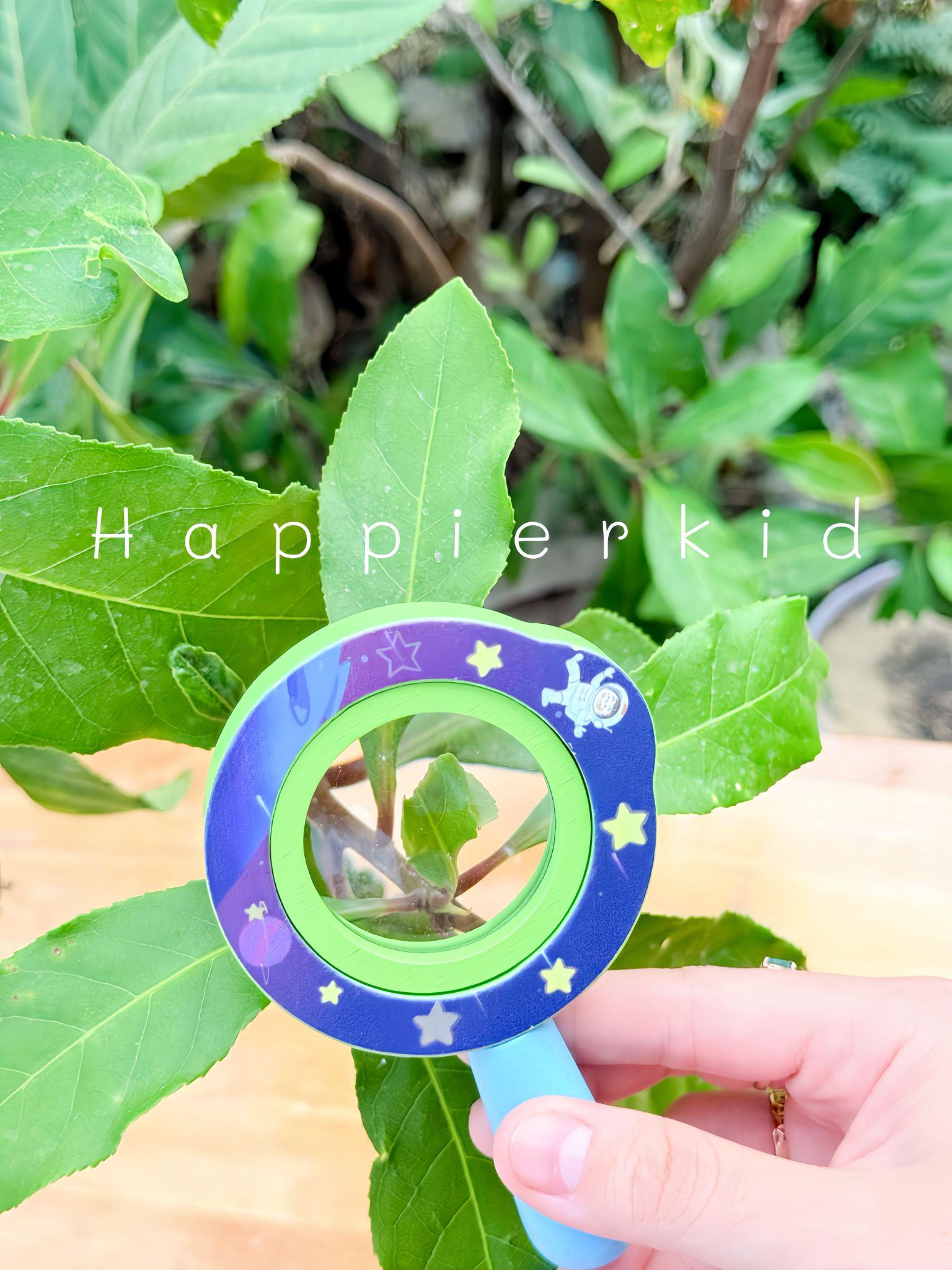  Đồ chơi kính lúp bằng gỗ Học tập Phiêu lưu ngoài trời 