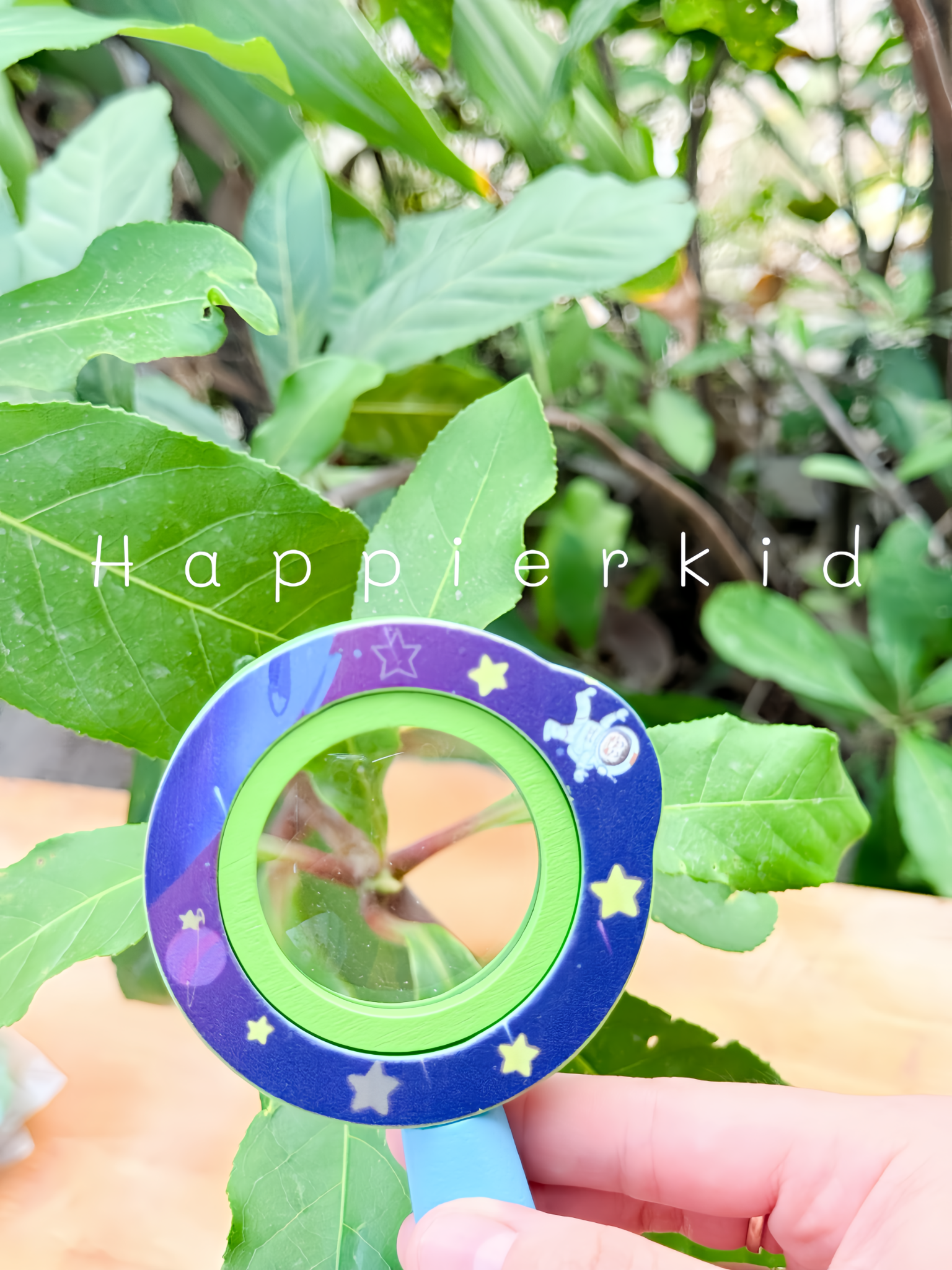  Đồ chơi kính lúp bằng gỗ Học tập Phiêu lưu ngoài trời 