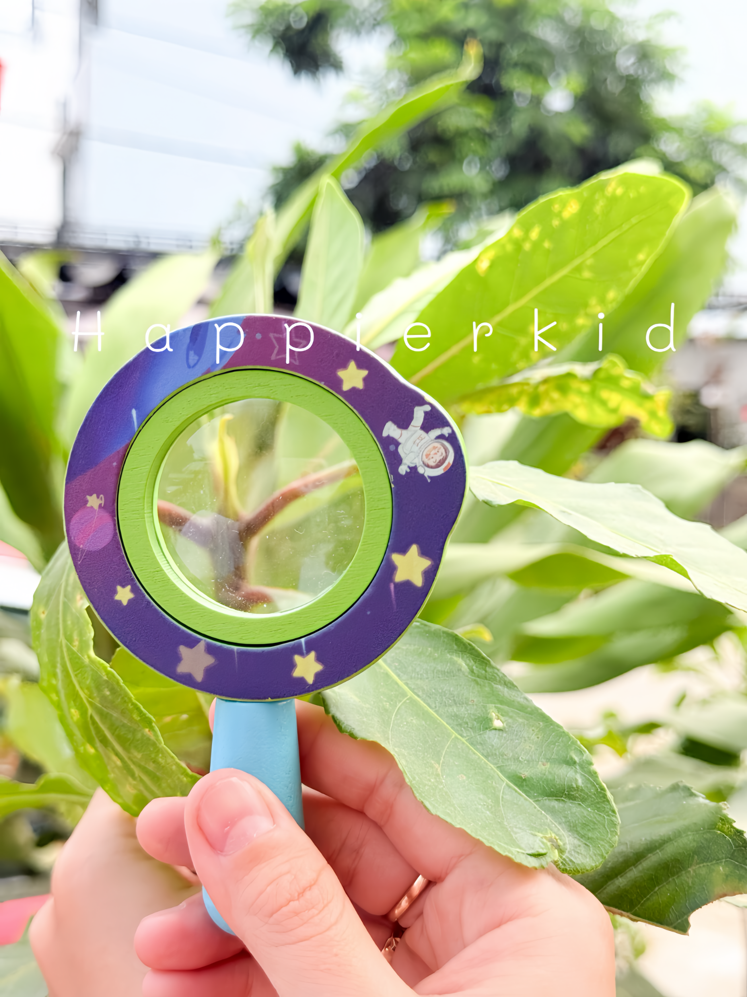  Đồ chơi kính lúp bằng gỗ Học tập Phiêu lưu ngoài trời 