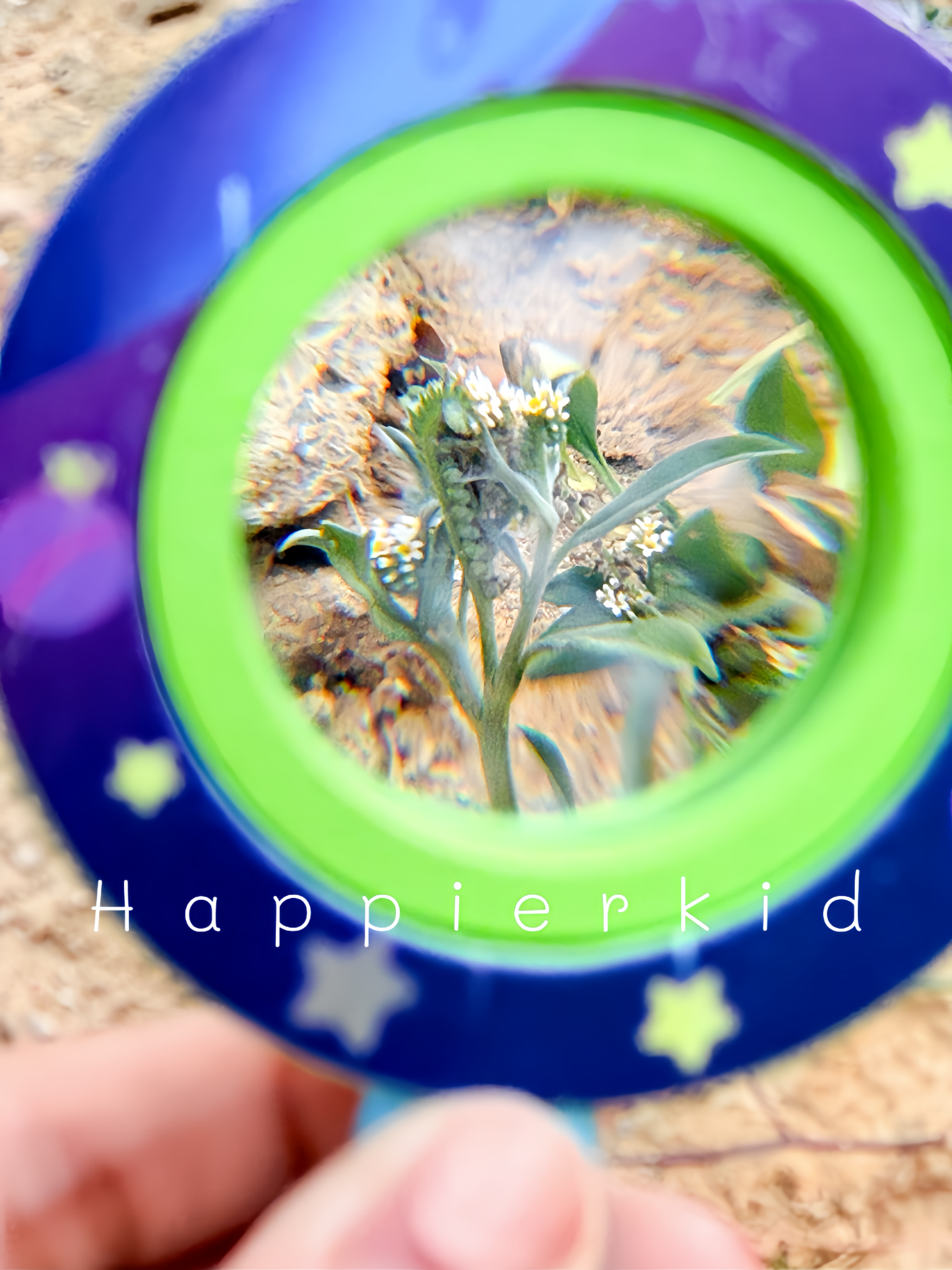  Đồ chơi kính lúp bằng gỗ Học tập Phiêu lưu ngoài trời 