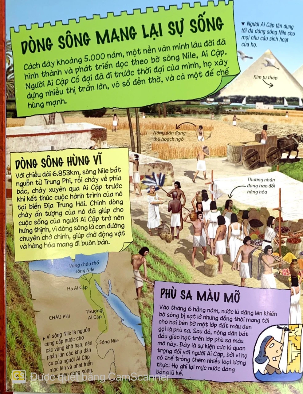  Sách khoa học Tìm hiểu về Ai Cập cổ đại 