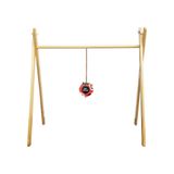  Bóng vải 3 màu cơ bản phát triển thị giác - thính giác PiPovietnam 