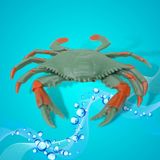  Đồ chơi mô hình 10 ĐỘNG VẬT BIỂN Hoàng Thu HT7506 