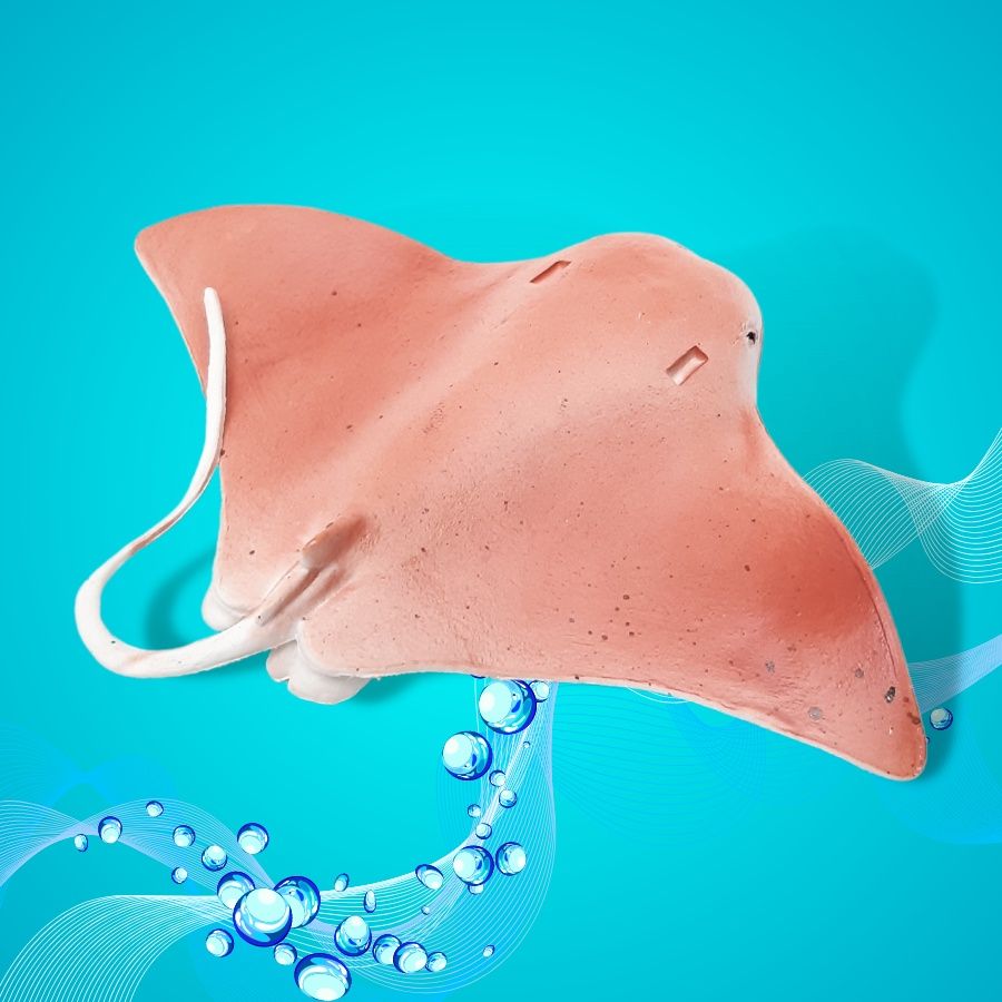  Đồ chơi mô hình 10 ĐỘNG VẬT BIỂN Hoàng Thu HT7506 